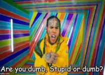 stupid.jpg