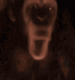 chimpas.gif