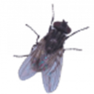 Sarrian
