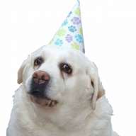 PartyHatDogger