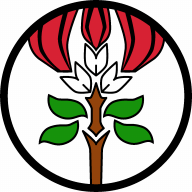 Nakikiao