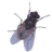 Sarrian