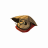 Airok