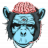 Frankie